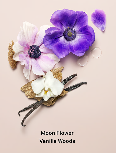 Splash VS / Midnight Blooms