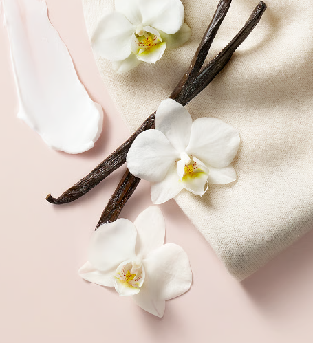 Splash BARE VANILLA