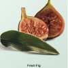 Aceite Corporal Fresh Fig Sage