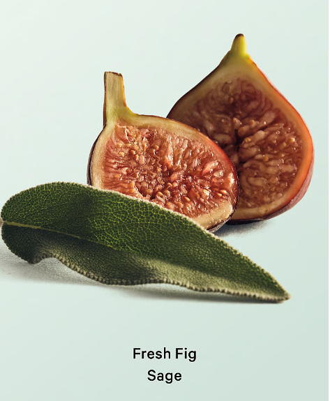 Aceite Corporal Fresh Fig Sage
